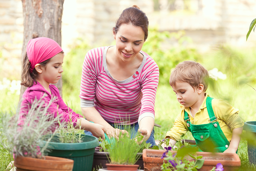 Spring planting and pruning could ward off intruders